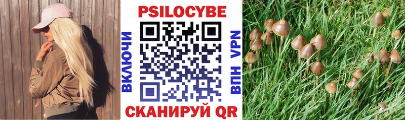 Псилоцибиновые грибы прущие грибы  хочу   blacksprut ссылки  Новоалтайск 
